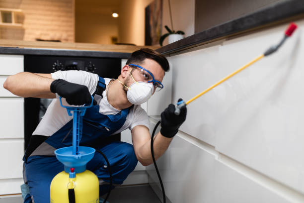 Wasp Removal Services in Sunnyside, CA