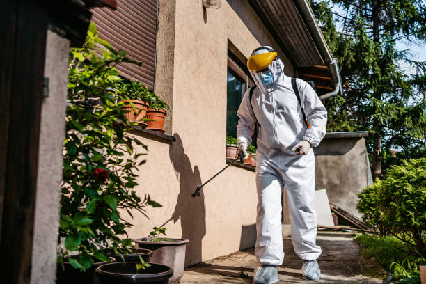 Best Bird Control  in Sunnyside, CA