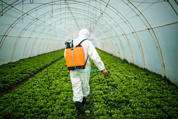 Pest Prevention Services in Sunnyside, CA