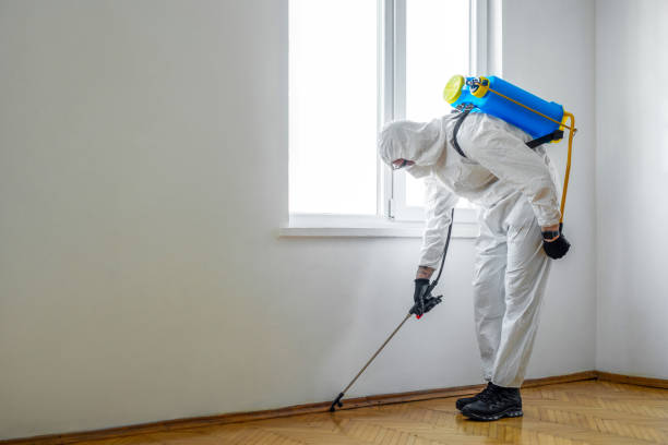 Best Emergency Pest Control  in Sunnyside, CA