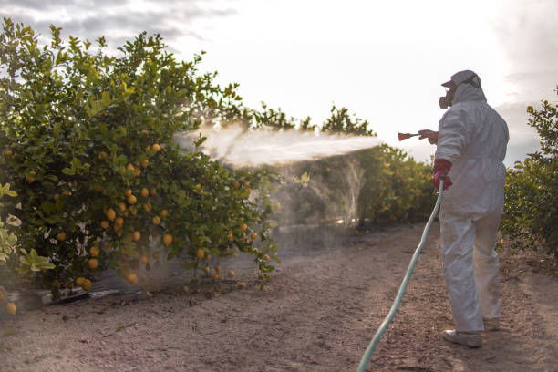 Sunnyside, CA Pest Control Company