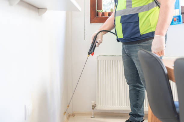 Best Local Pest Control Services  in Sunnyside, CA