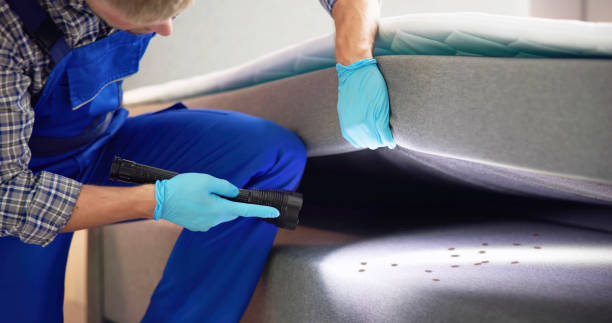 Best Commercial Pest Control Services  in Sunnyside, CA