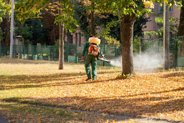 Pest Prevention Services in Sunnyside, CA