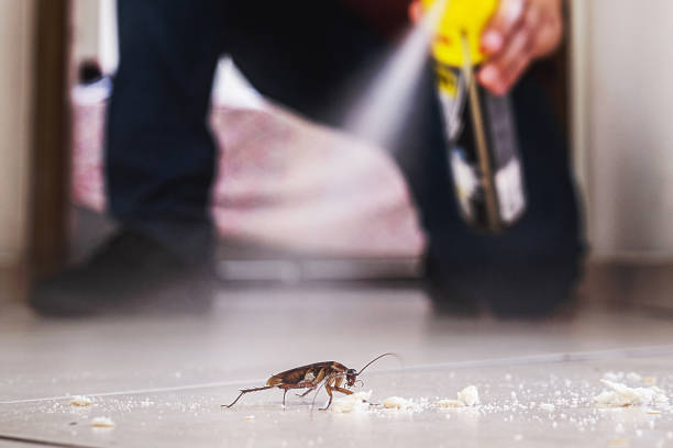  Sunnyside, CA Pest Control Pros