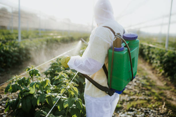 Best Ant Control Services  in Sunnyside, CA